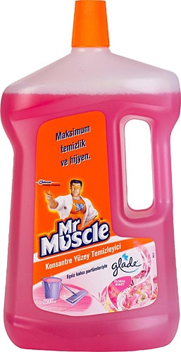 MR MUSCLE 2.5 LT